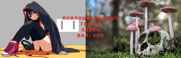 мефедрон Богданович