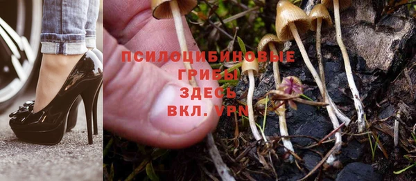 а пвп мука Богородск