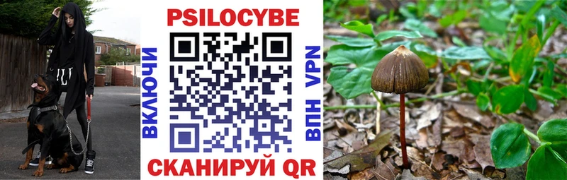 Псилоцибиновые грибы прущие грибы  Бугуруслан 